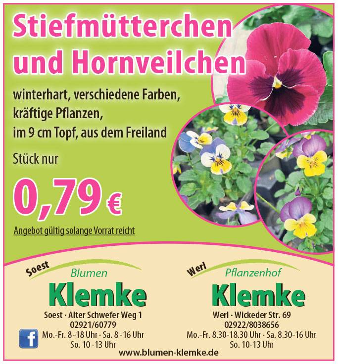 Angebote 23.10.2026