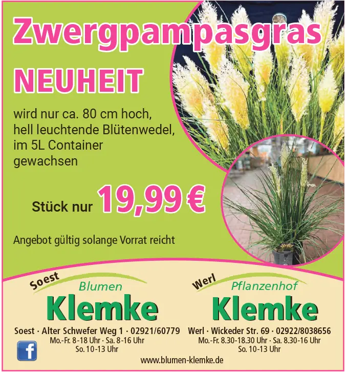 Klemke Angebote 14.08.2026