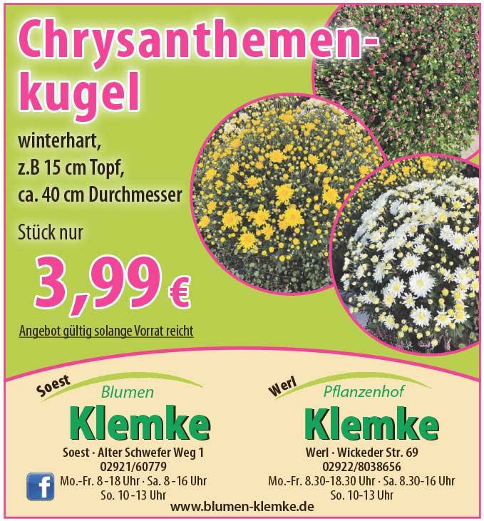 Angebote 16.10.26