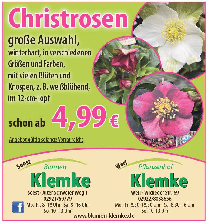 Angebote 30.10.2026