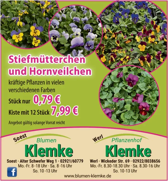 Angebote 06.03.2026
