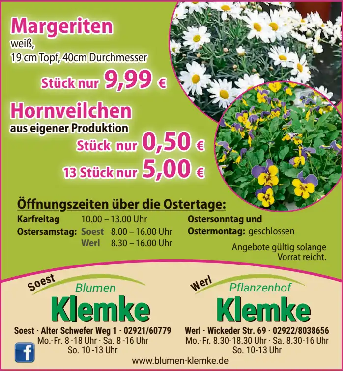 Angebote 02.04.2026